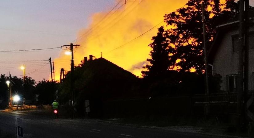Több város tűzoltói küzdenek a lángokkal Tiszaföldvárnál