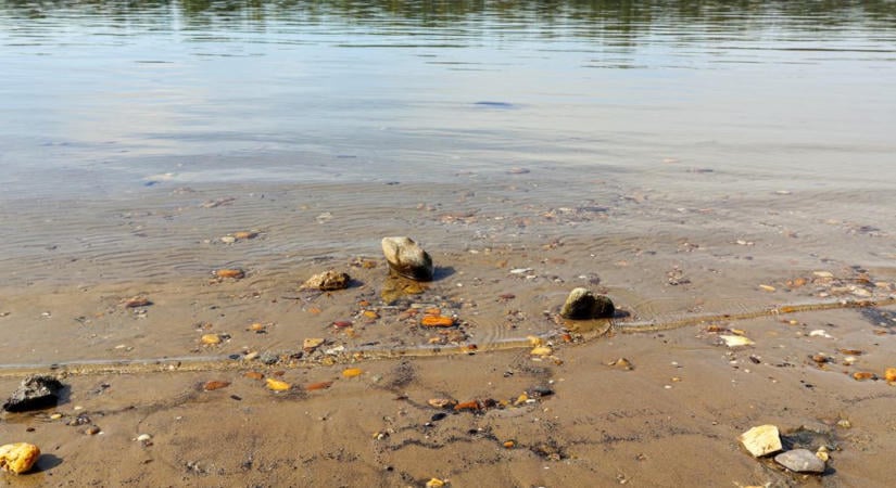 Térképen az összes ingyenes strand a Dunán: sokan azt hiszik, tilos csobbanni a folyóban