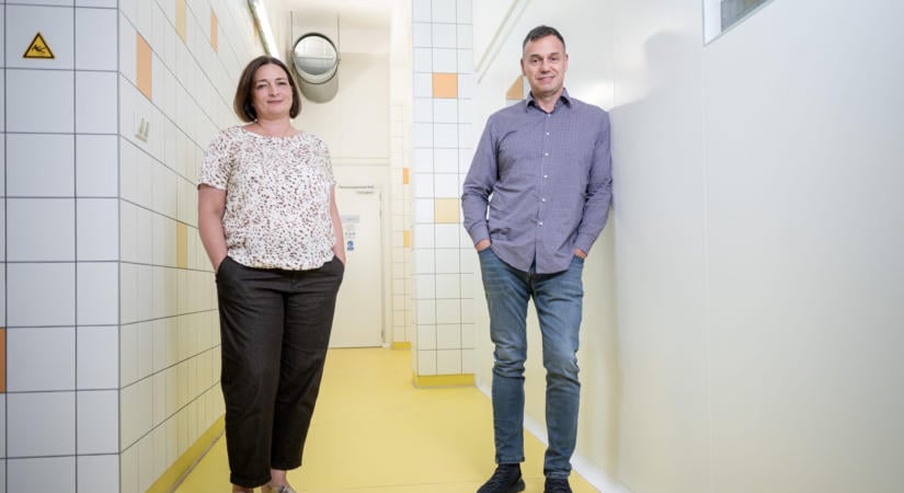 Harmadszorra már az ideális kérő érkezett fehér lovon – a házaspár, aki megvette a Cserpest