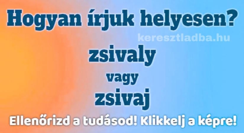 Helyesírás feladat: zsivaly és zsivaj, melyik a helyes?