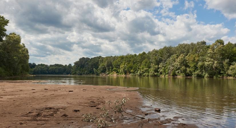 Holttestet találtak a tiszakécskei szabadstrandon - Drámai módon ugrott meg a vízi tragédiák száma