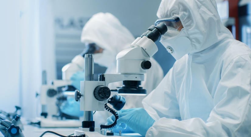 Antibiotikumokra nem reagáló baktériumok ellen fejlesztenek új kezelést Szegeden