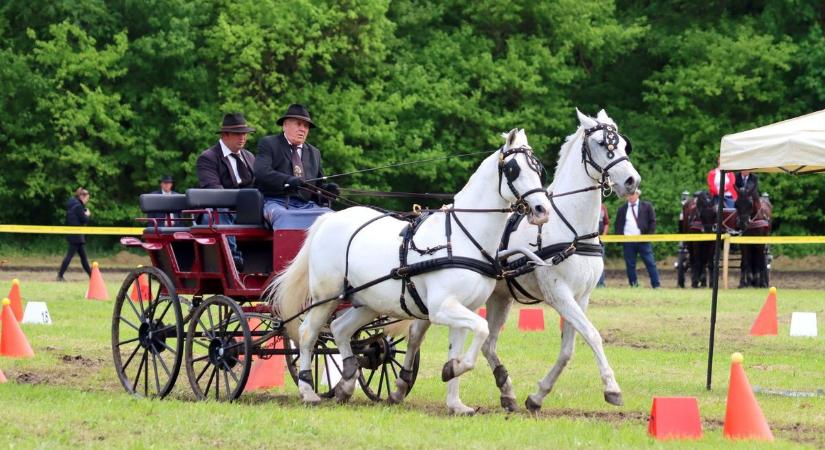 Seregélyesen várják a lovassportok szerelmeseit