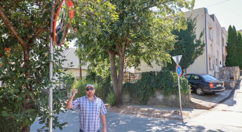 Így kell ezt: a lakók kérték, a képviselő pedig elintézte