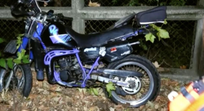 Motorozott az ítéletidőben, rádőlt egy fa, nem élte túl
