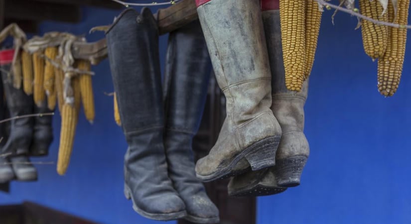 Tükörlefedés, csecsemőköpködés és meztelen harmatfürdő: bizarr magyar népszokások kvíz