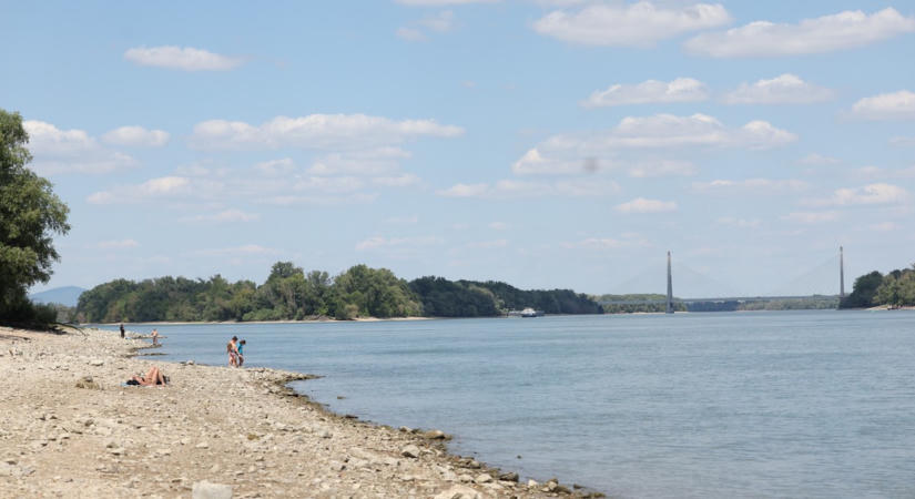 Előbukkant egy sziget a Dunából Szentendrénél, azonnal letérkövezték egy részét – fotók