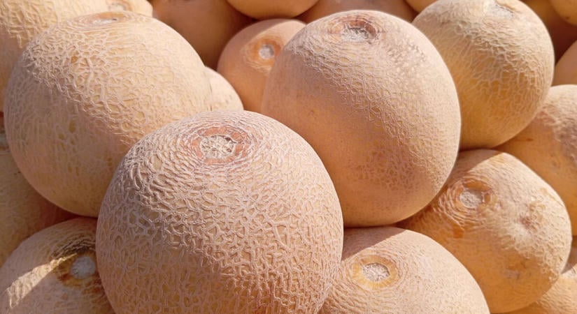 Ne dobd ki a sárgadinnye magját: pirítva ropogós nasi lesz belőle, mint a tökmagból
