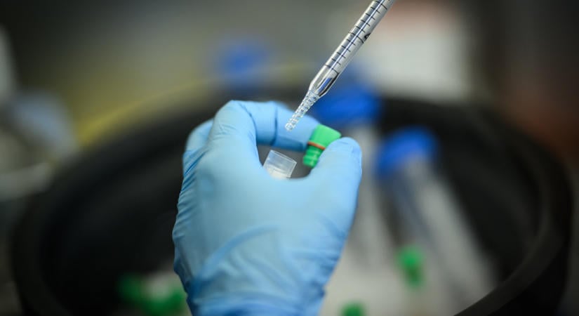 Egy mRNS-rákvakcina 42 százalékkal csökkentette a halál vagy a kiújulás kockázatát melanomás betegeknél