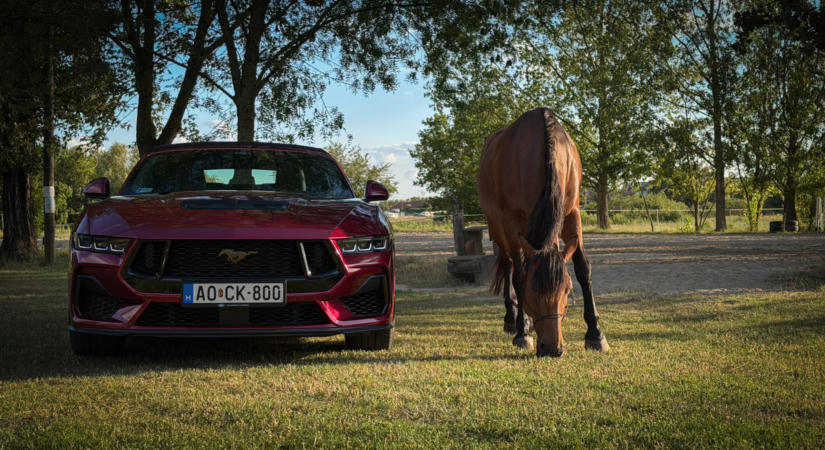 Szabadság, repülés, lovak és egy kis keserédes utóíz – Ford Mustang GT Convertible teszt