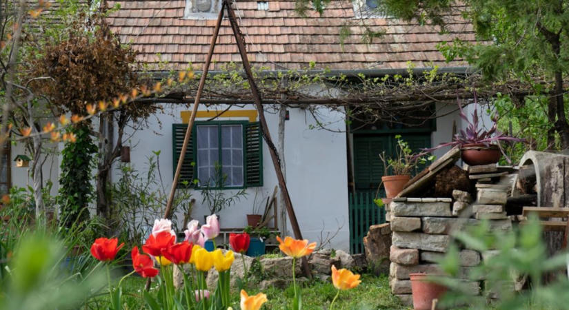 Utak, energia, vízmegtartás: új vidékfejlesztési program indul, 100 települést érint
