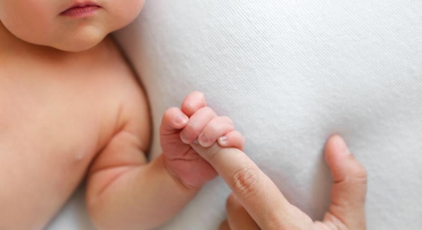 Súlyos dolgot felejtett el Kátai-Németh Vilmos minisztériuma, a szabadságokat érinti: beígérték a több napot, most mindenki rájuk vár