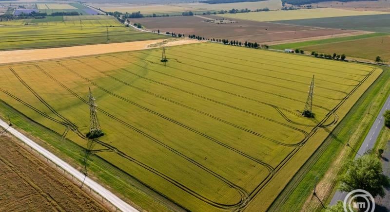 Felgyorsítanák az agrárkutatások gyakorlati hasznosítását az EU-ban