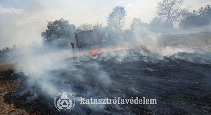 Három hektárnyi terület kapott lángra Gyulánál