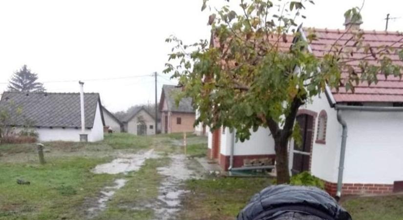 Az időjárás miatt elmarad a Márton-napi mulatság Dunaföldváron