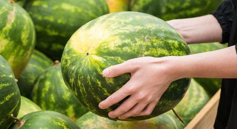 Országos razzia indul a dinnyeárusoknál, durva bírságokra számíthatnak a szabálytalankodók