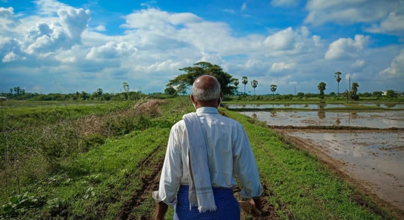 WhatsApp-alapú AI tanácsadás segíti az afrikai kisgazdákat az El Niño ellen
