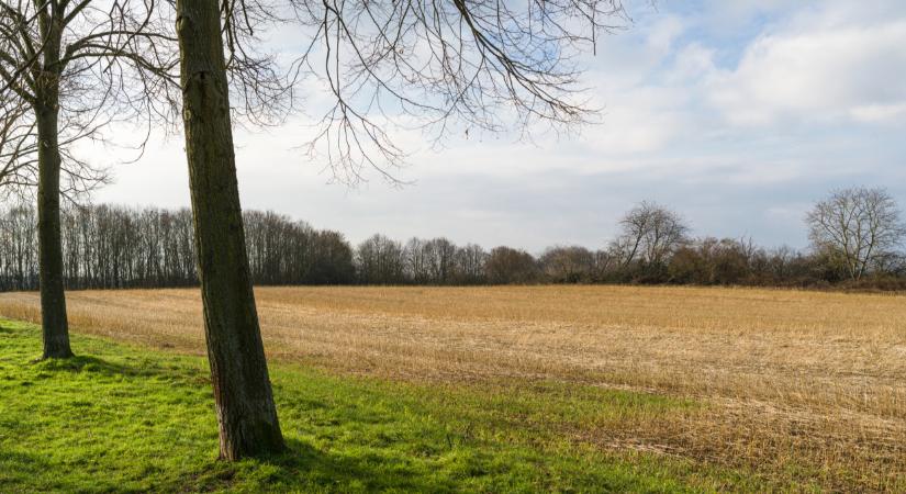 Módosultak a földminősítés szabályai - új előírások lépnek életbe