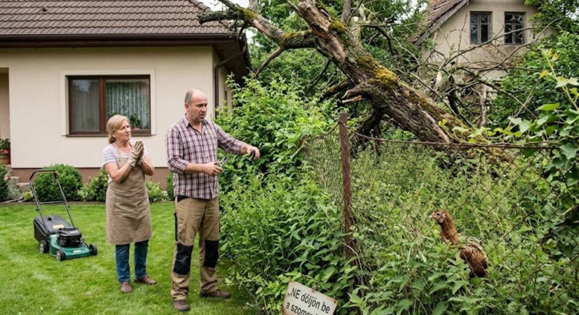 Üresen áll a szomszéd telke, méteres a gaz és dőlnek a fák – tehetsz ellene valamit?