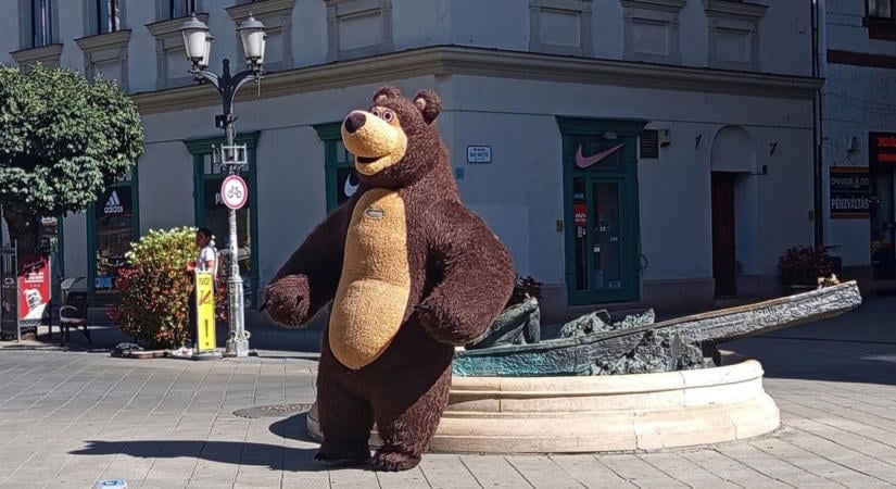 Mackók osztogatnak ölelést a győri belvárosban - fotók