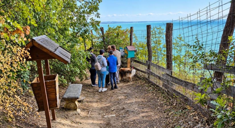 Életre keltették a Balaton legendáit – különleges Meseösvény született Fonyódon