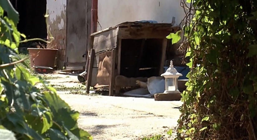 Halálra marcangolta saját gazdáját a megvadult házőrző a Dunántúlon - videó