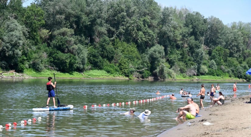 Újabb áldozatot követelt a Tisza – polgárőrök, rendőrök, és búvárok keresték az eltűnt férfit Tiszapüspökinél