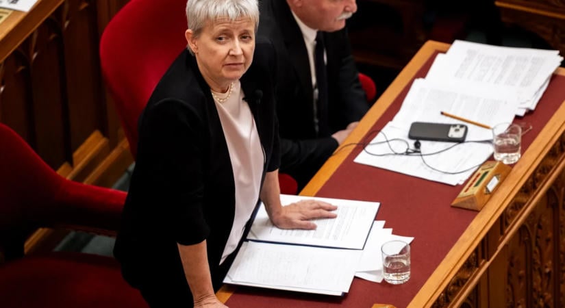 Lannert Judit: iskolafejlesztési programot indít a kormány jövőre