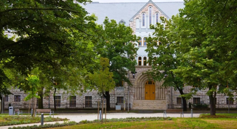 Szívbarát mobilalkalmazást fejlesztett ki a Pécsi Tudományegyetem