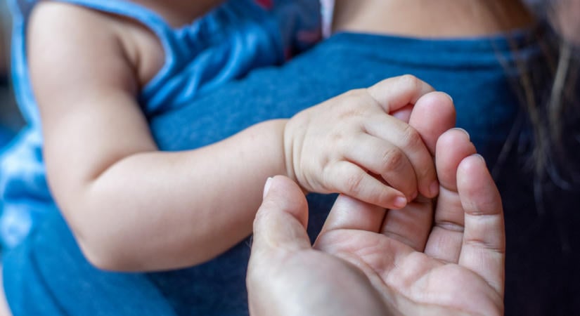 Hat év alatt a felére csökkent az örökbefogadásra alkalmas jelentkezők száma