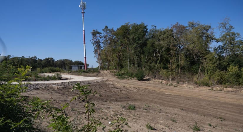 Megszólalt az MKIF az M1-es bővítését érintő tatai fakivágásokról