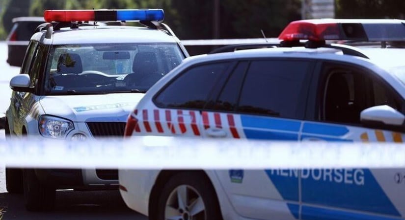 Bokrok között találtak rá a nő holttestére Kecskeméten – őrizetbe vettek egy férfit