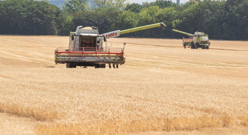 Aggódhatunk a mindennapi kenyérért: háromszorosára drágíthatja a búzát a globális felmelegedés