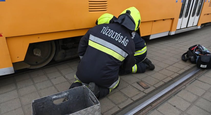 Meghalt a 6 éves kisfiú, akit a Batthányi téren gázolt el a villamos