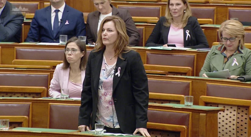 Már a gombnyomás is gondot okoz? Újabb tiszás képviselő kért segítséget