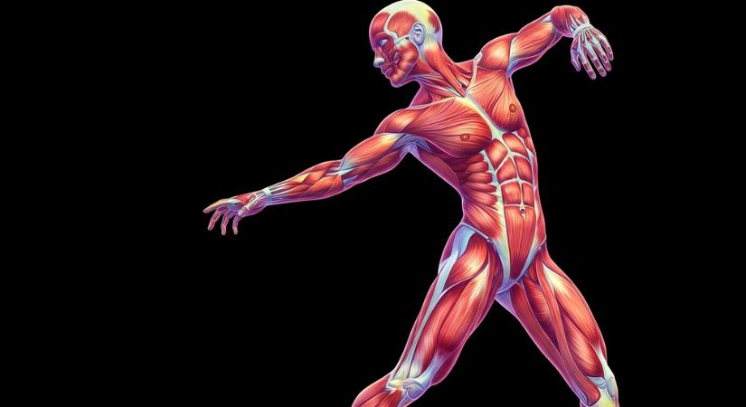 Az emberi test nyolc megdöbbentő titka, amelyről ritkán esik szó