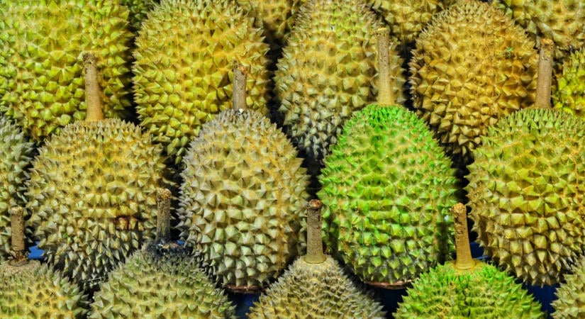 A gyümölcsök büdös királyára épít exportnövekedést Thaiföld