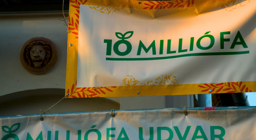 Fasor lesz a 10 millió Fa Ördögkatlanos fellépéséből