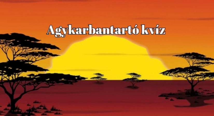 Kvízkaland a négyzeten - Ha legalább 7 kérdésre helyesen válaszolsz, te is vered az átlagot