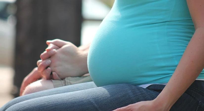 Várandósnak tettette magát, kirabolta a házakat egy újvidéki nő