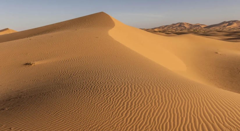 Vérszomjas ragadozók maradványait rejtette az egyiptomi sivatag