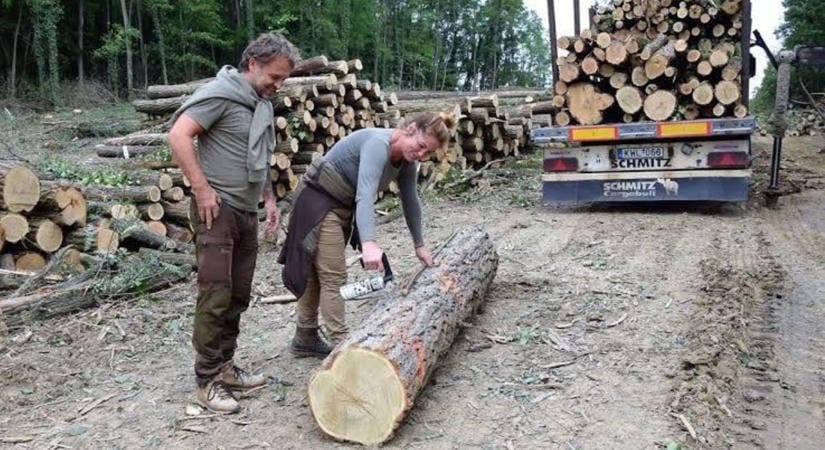 Most dől el, mennyi segítség jut a településekre a téli időszakban