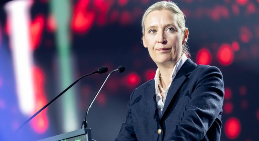 Kiszivárogtak a német szélsőjobb e-mail szervereit, súlyos vádakkal nézhet szembe Alice Weidel pártelnök