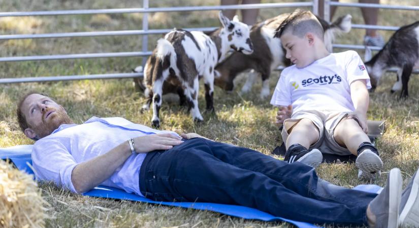 Egy kecske ágyékon rúgta Harry herceget jóga közben