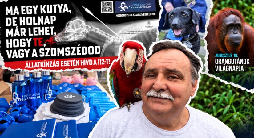 Árva kutyák mellett BBQ-szettekre és softshell kabátokra ment a pénz az állami állatvédelmi alapítványnál