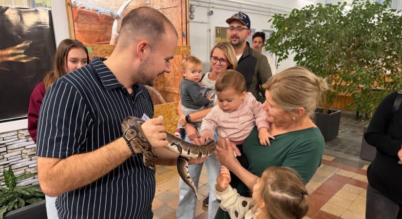 KLG SuliZoo: több mint 200 állatfaj bújik meg a Kossuth-gimnáziumban, most bárki megnézhette őket!