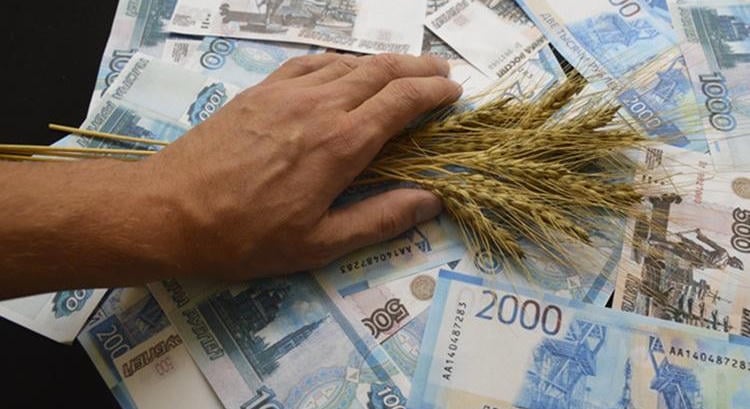 30 ezer forintra esett az orosz búza, elpárolgott a vetési kedv