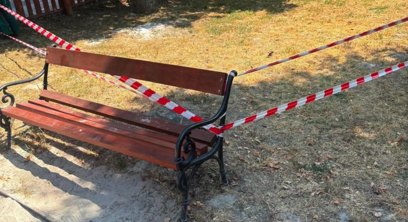 Kezelték a darázsfészket Nyúlon