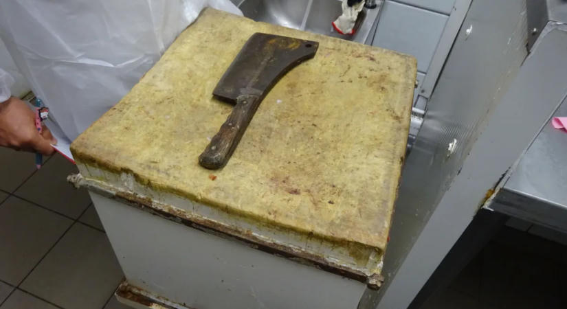 Horrorgíroszost zárt be a Nébih, rovartetemek között készült a hús – videó
