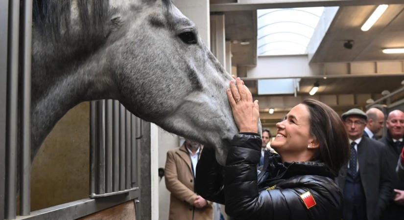 Több tízmilliós lófogatot szántak a brit királynak, végül túrabakancsot vitt Novák Katalin – most ebből lett a „lógate”